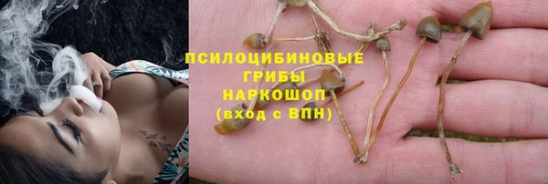 экстази Алзамай