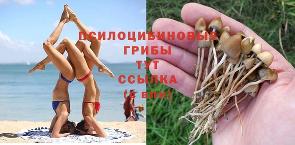 ECSTASY Алексеевка