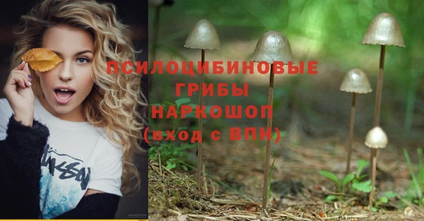ECSTASY Алексеевка